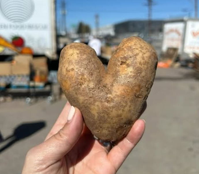 a heart-shaped potato