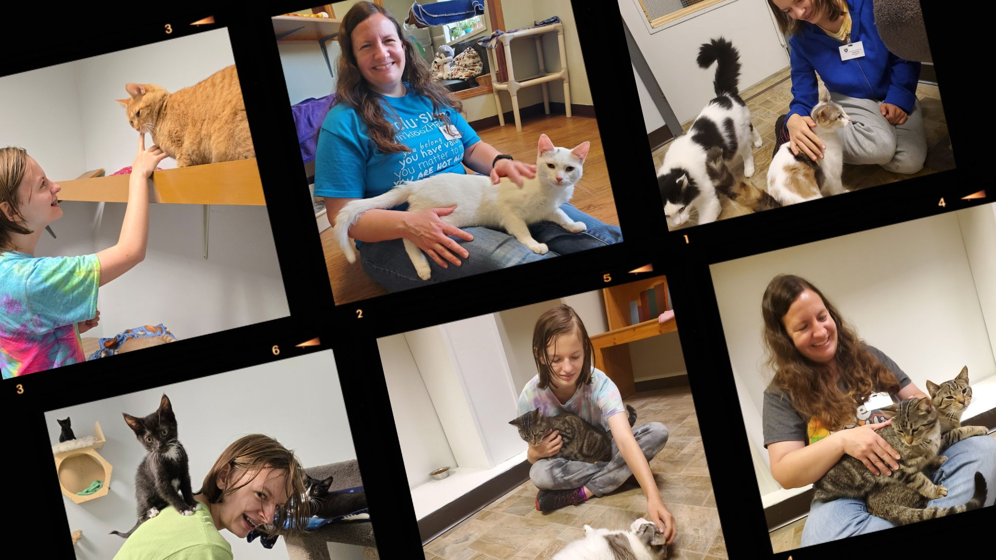 Fundraiser image