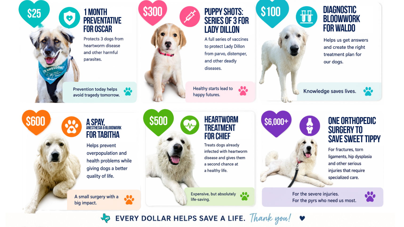 Fundraiser image