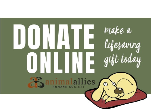 Fundraiser image