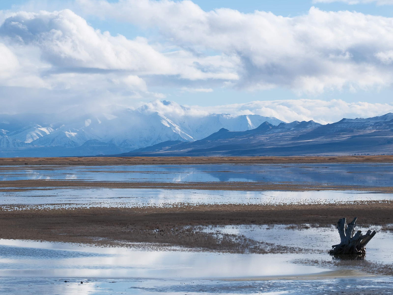 Image of the Great Salt Lake in winter by Mark Seawell