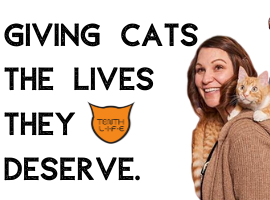 Fundraiser image