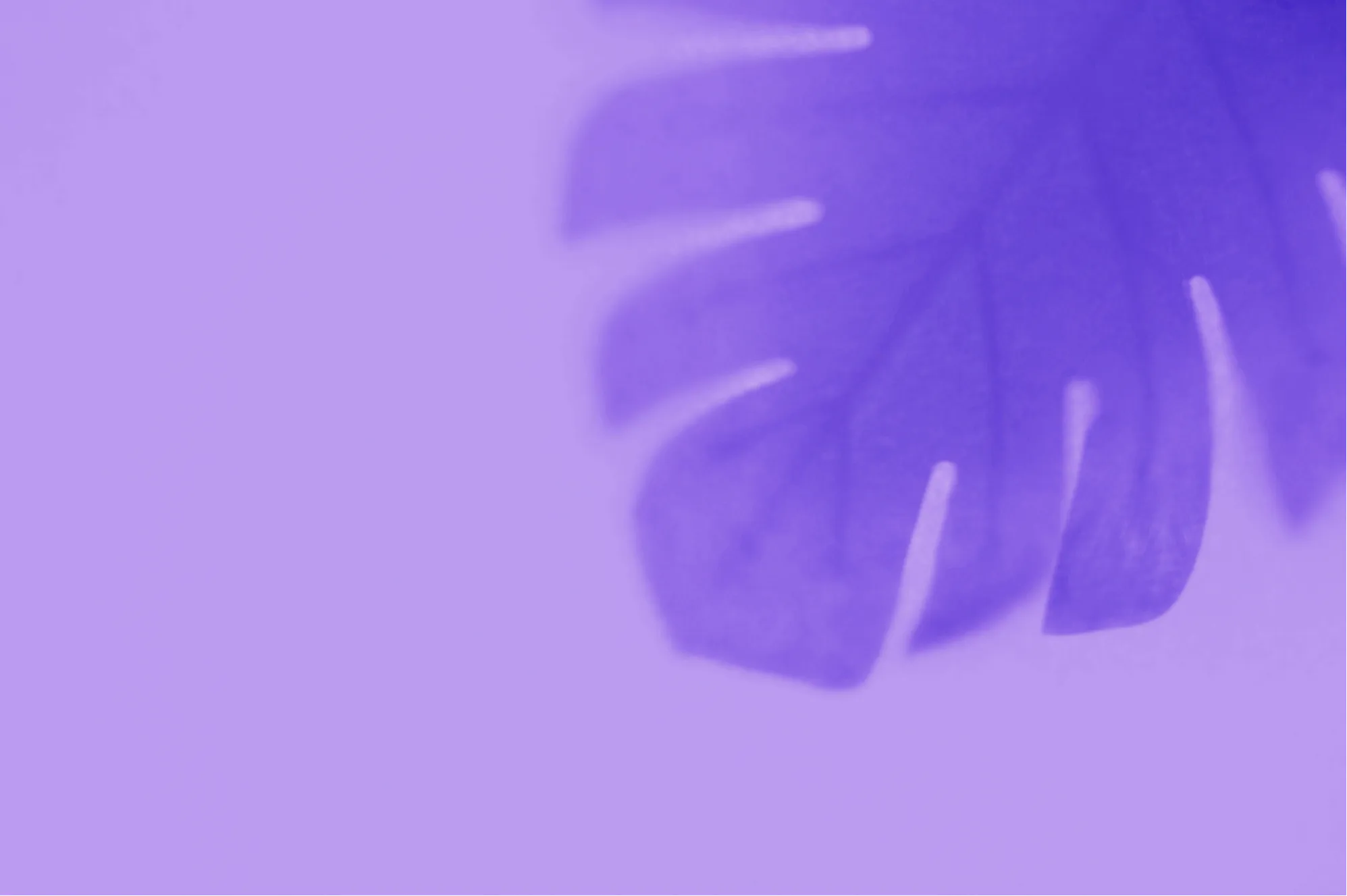 Block background image