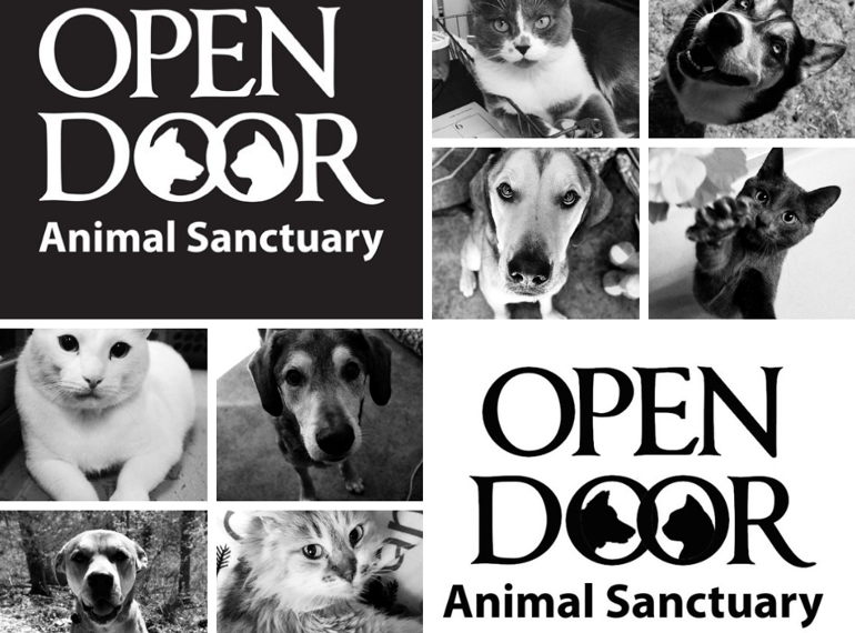 Chief Frank S Fundraiser For Open Door S Animals Mightycause