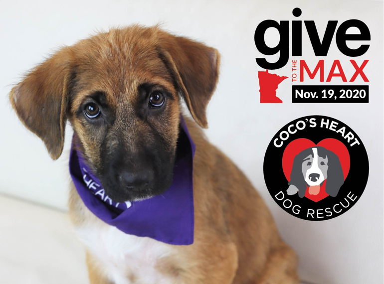 Fundraiser image