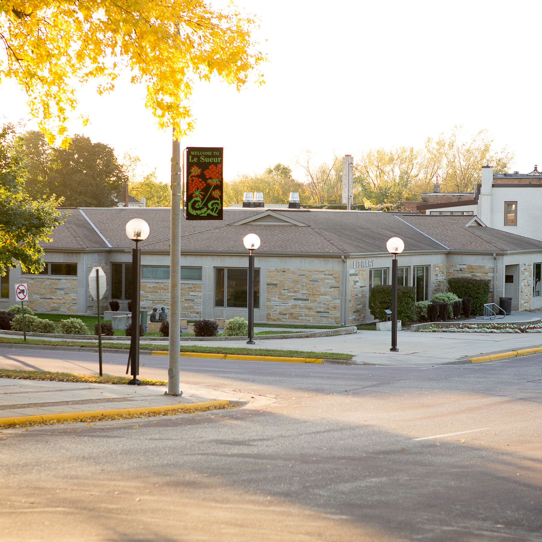 Friends of the Library of Le Sueur Foundation GiveMN