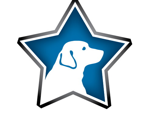 Fundraiser image