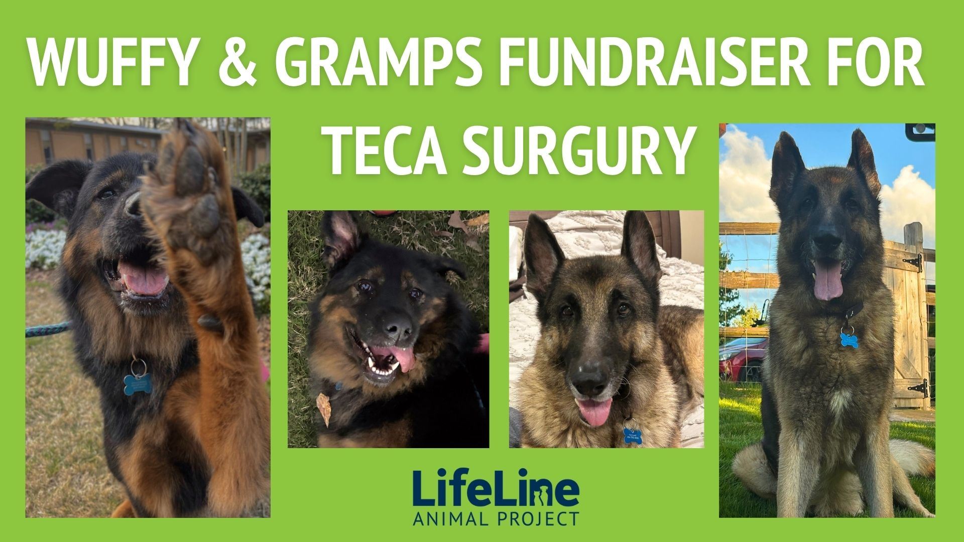 Fundraiser image