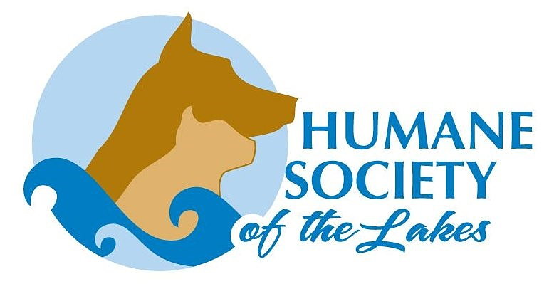 Detroit lakes humane society cheap