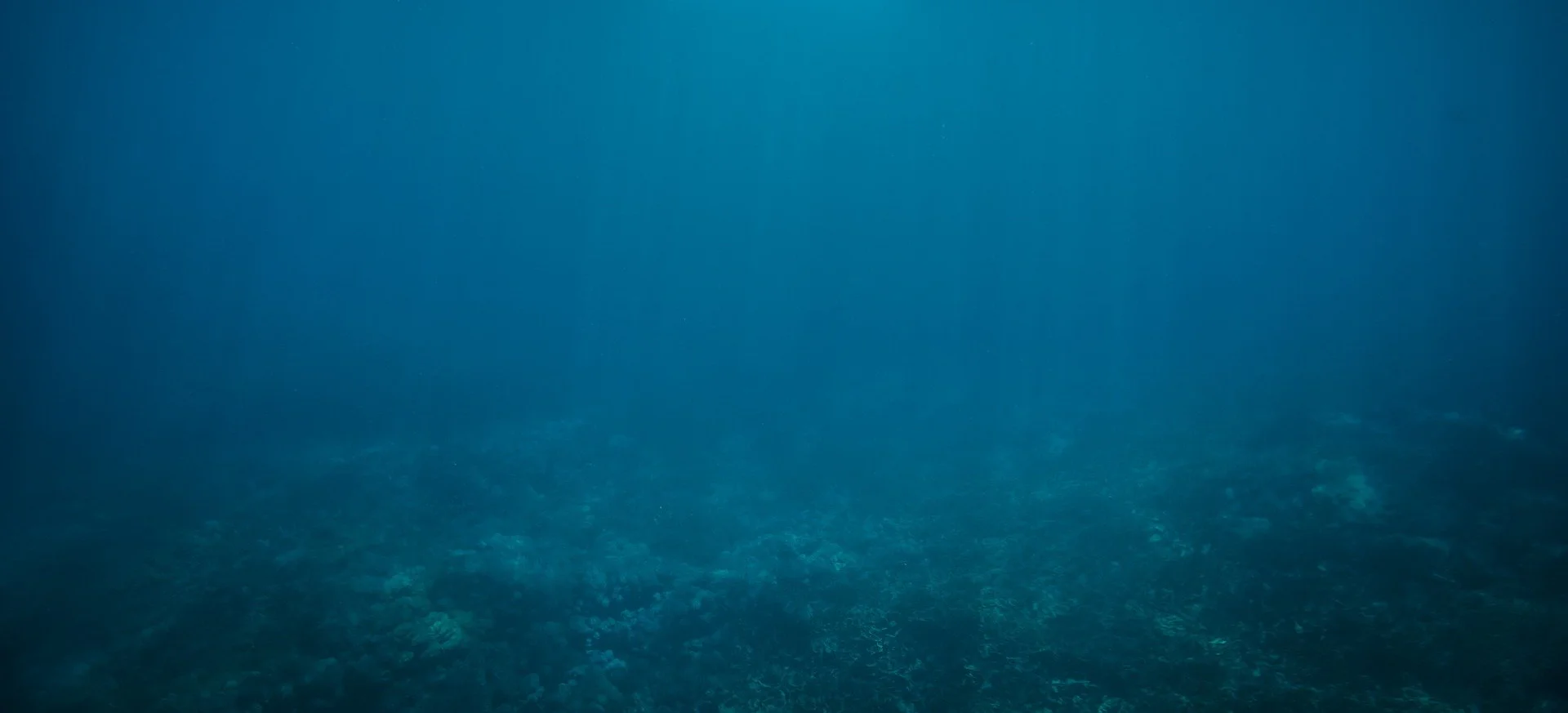 Tile background Image