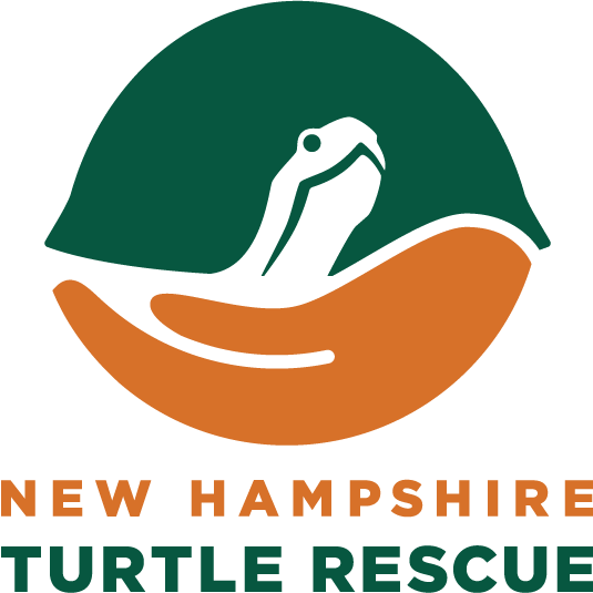 New Hampshire Turtle Rescue | NH Gives