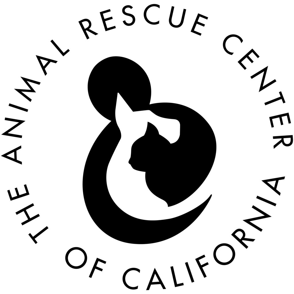 Tile Thumbnail