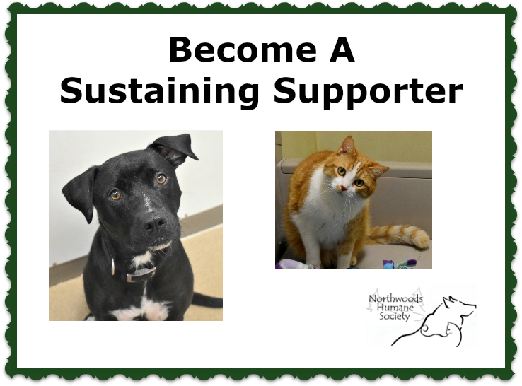 Fundraiser image