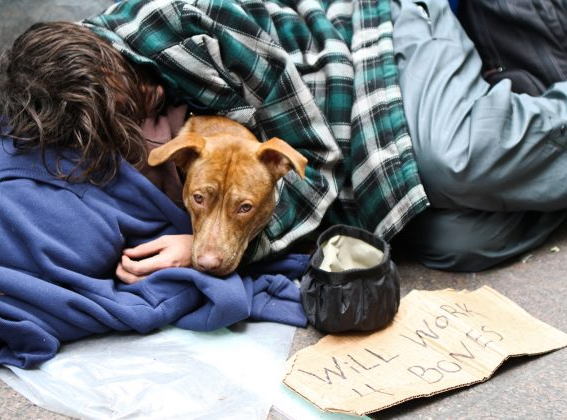 Fundraiser image