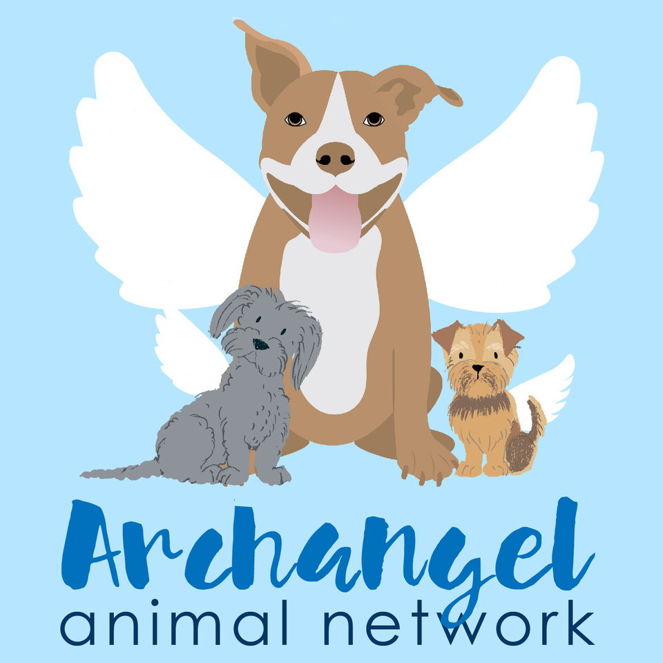 Archangel Animal Network | NTX Giving Day