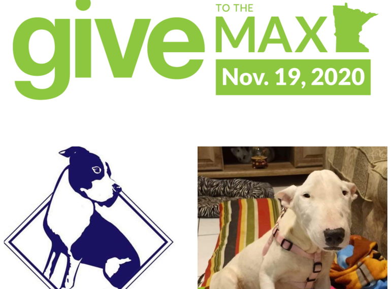 Fundraiser image