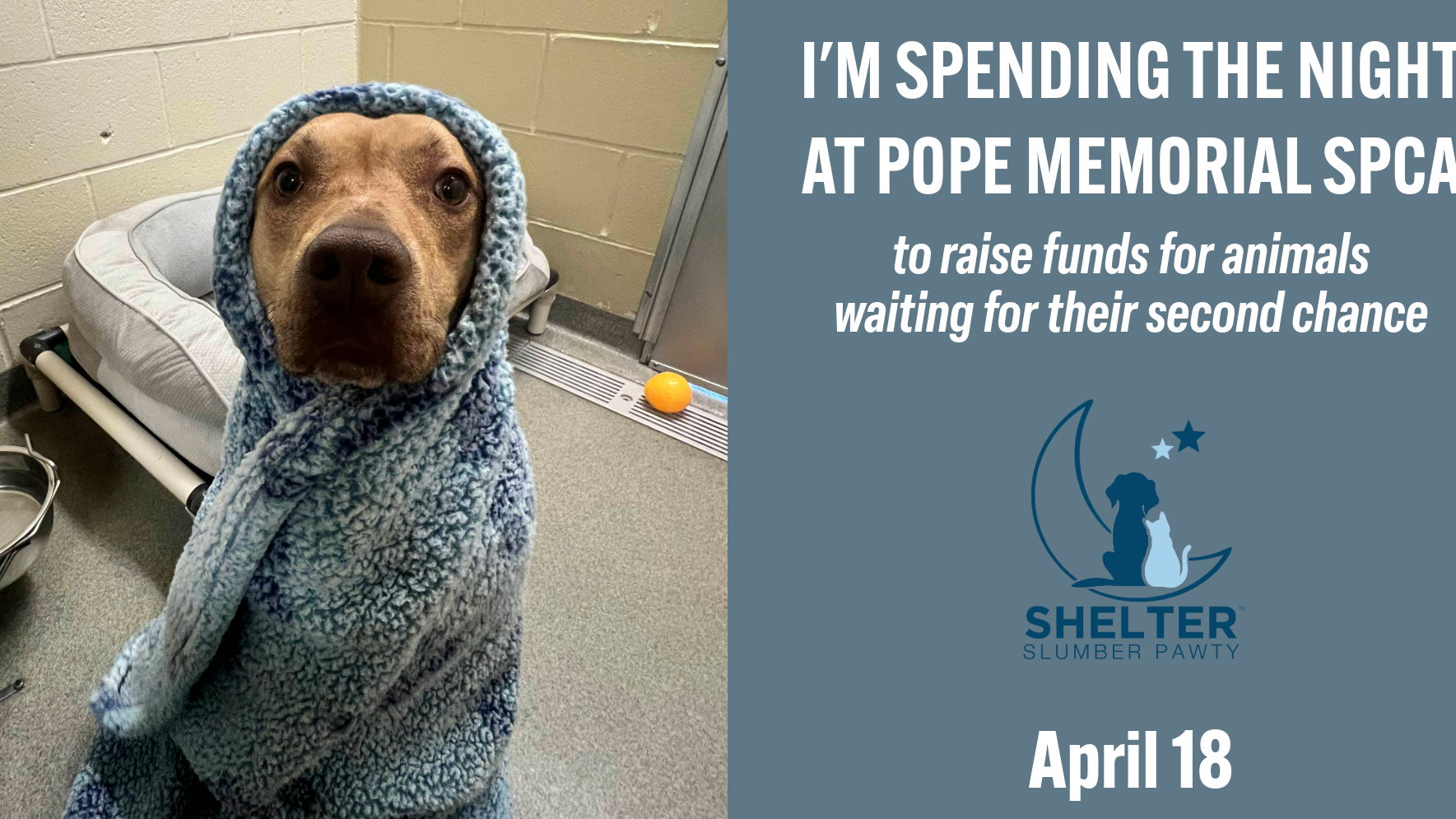 Fundraiser image
