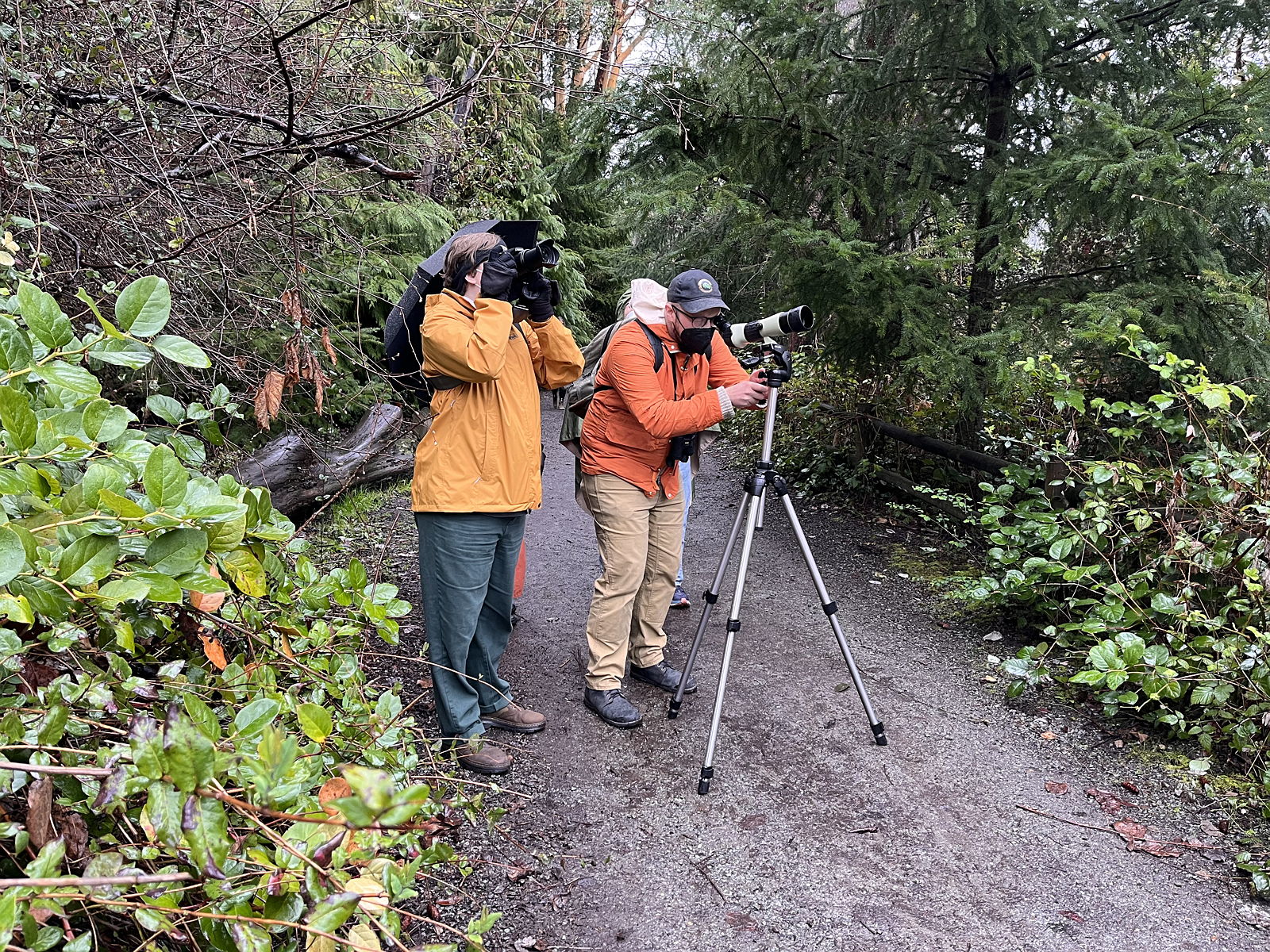 Two scouts in rain jackets using binoculars and a tripod to look for birds in the forest.