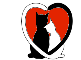 Fundraiser image