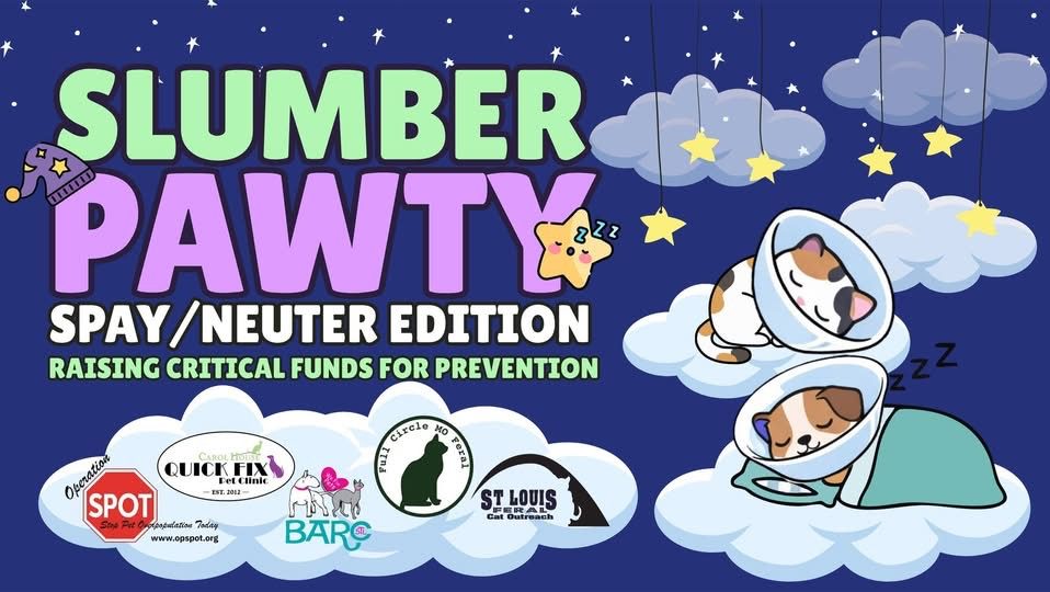 Fundraiser image