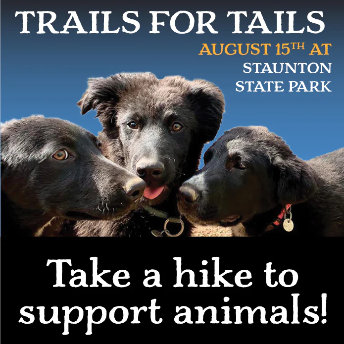 event logo