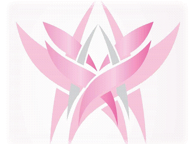 Fundraiser image