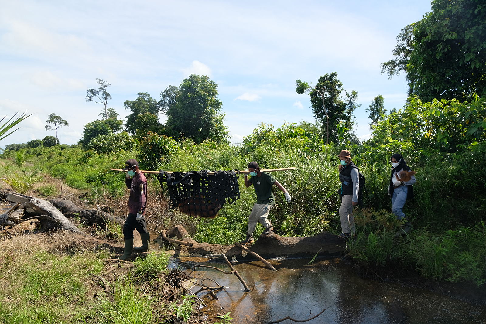 Behind every rescue is a team working to bring an orangutan to safety—and begin the journey back to the wild.