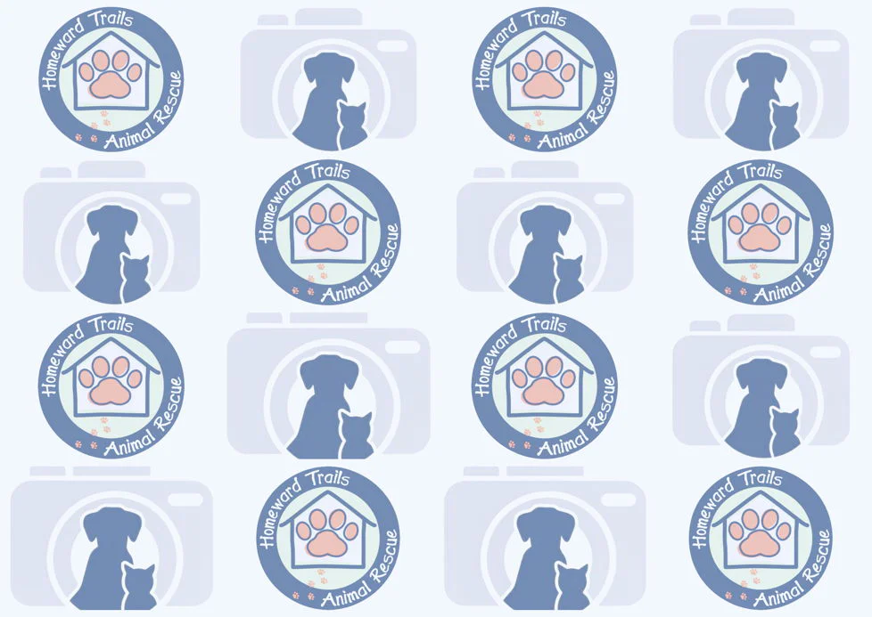 Tile background Image