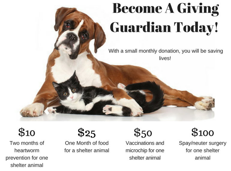 Fundraiser image