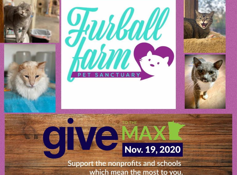 Fundraiser image
