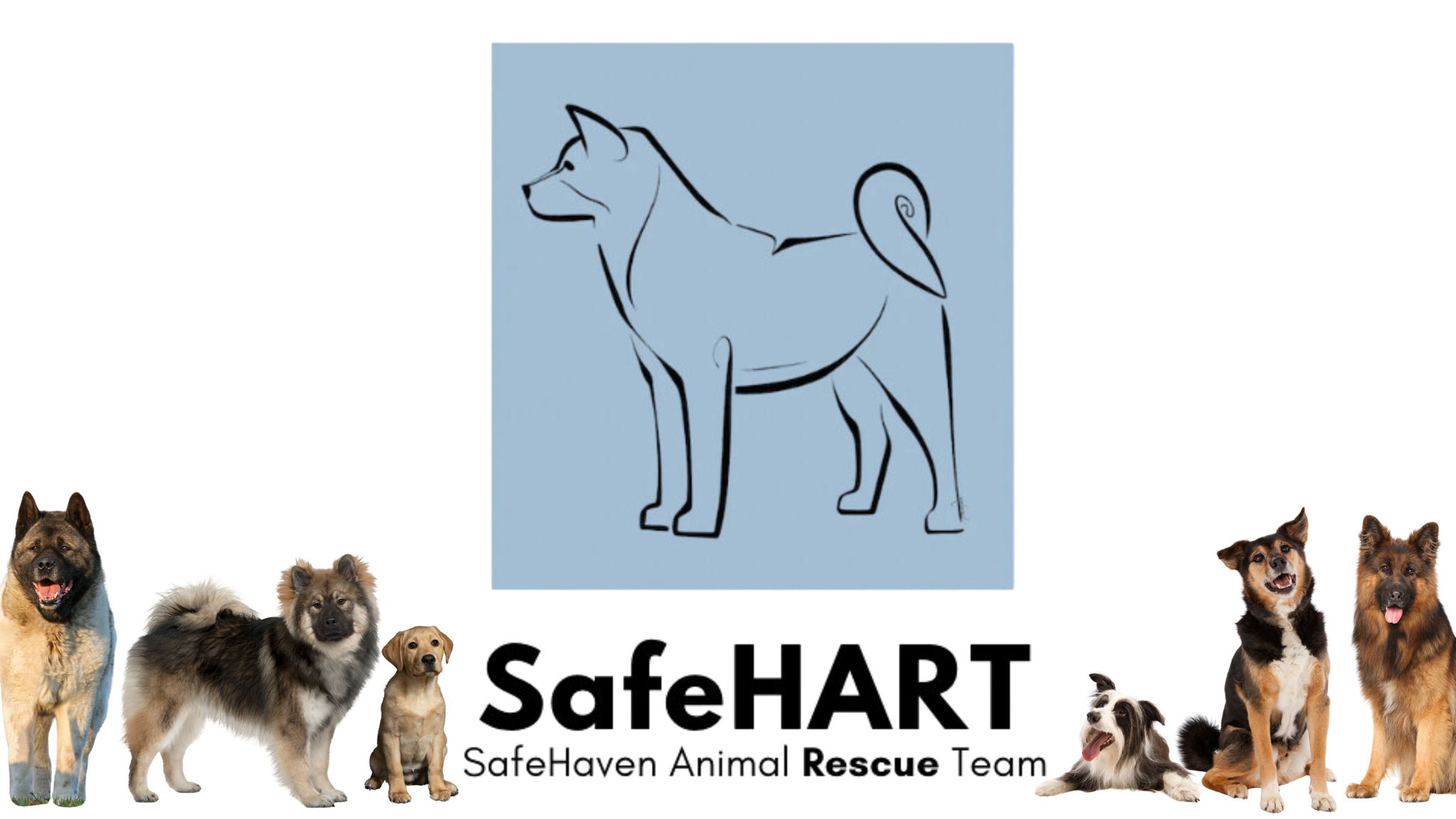 Fundraiser image