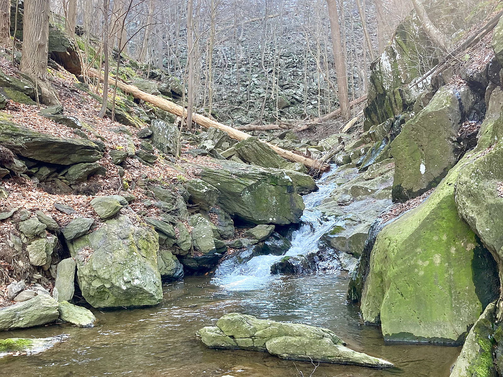 Cuffs Run flows into the Susquehanna
