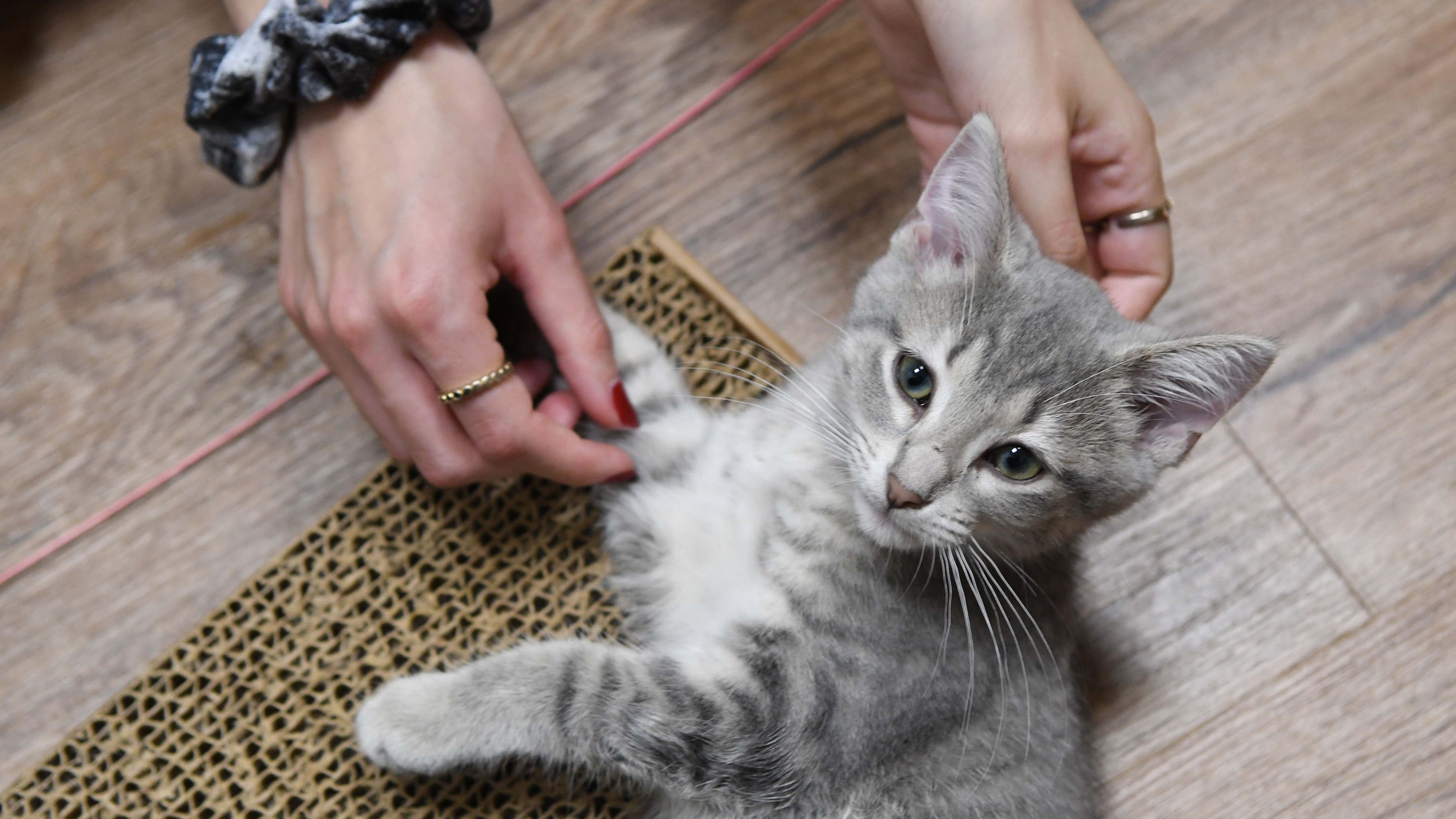 Tile background Image