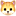 🐱