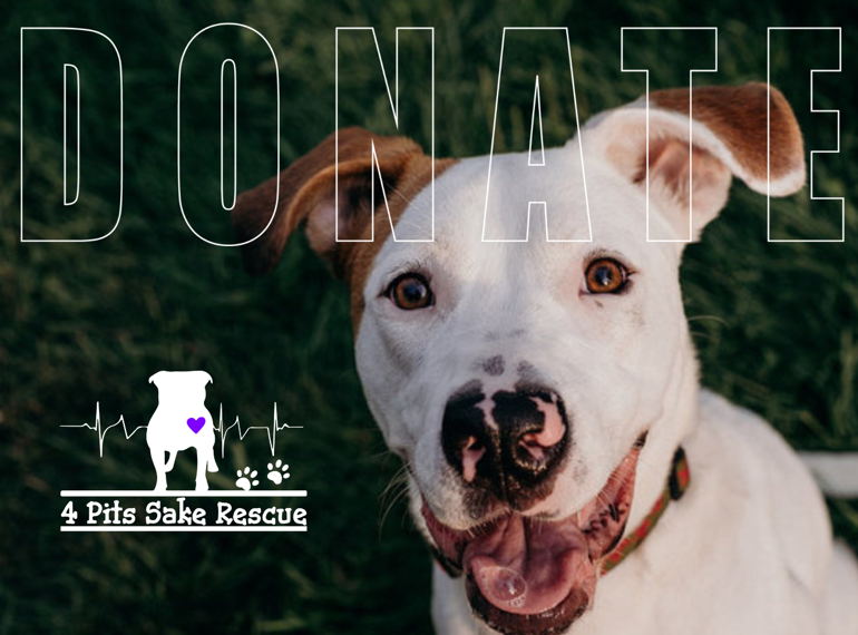 Fundraiser image