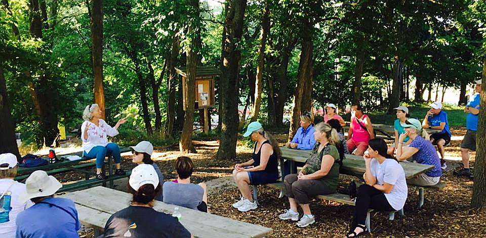 People sitting at picnic tables surrounded by lush, green trees.
