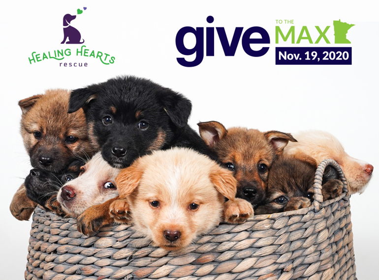 Fundraiser image