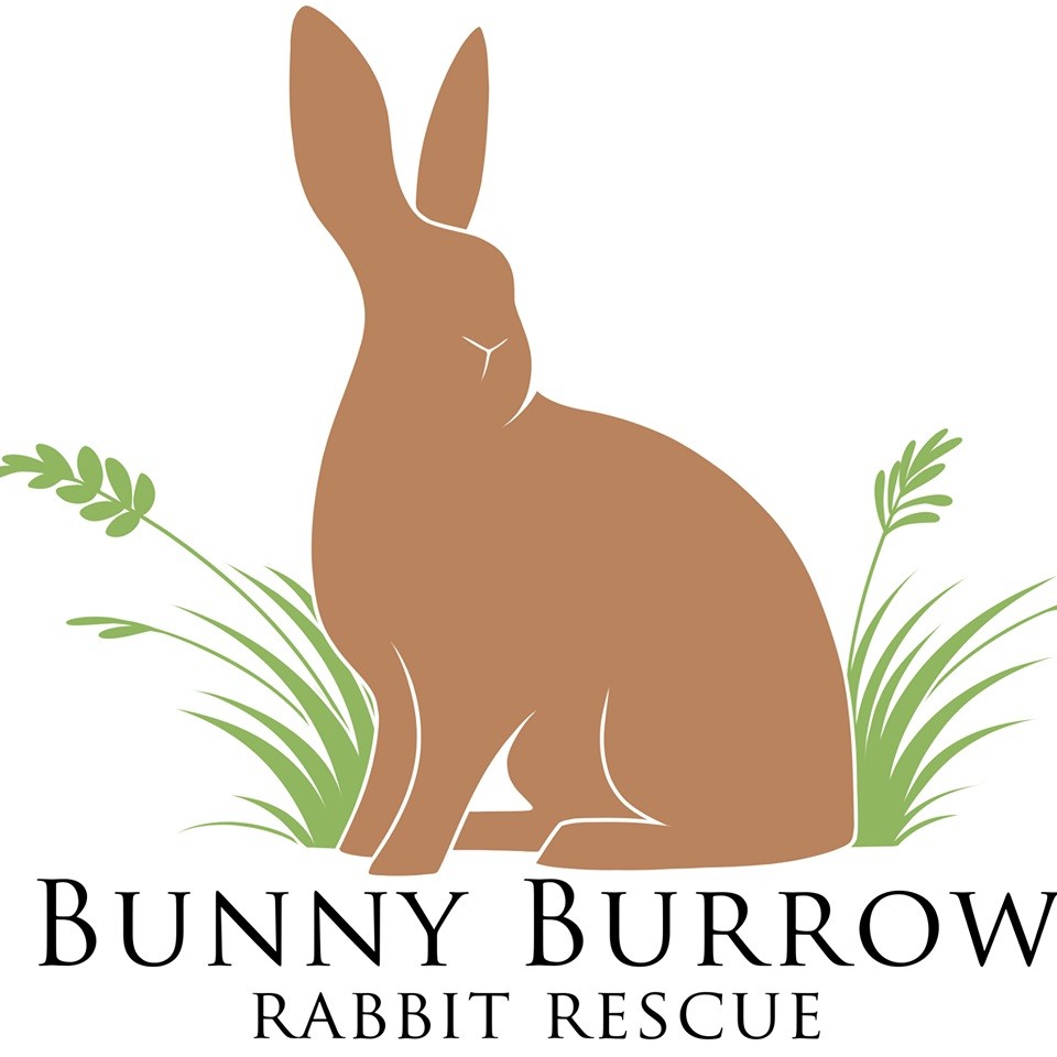 The Bunny Burrow Rabbit Rescue | NTX Giving Day