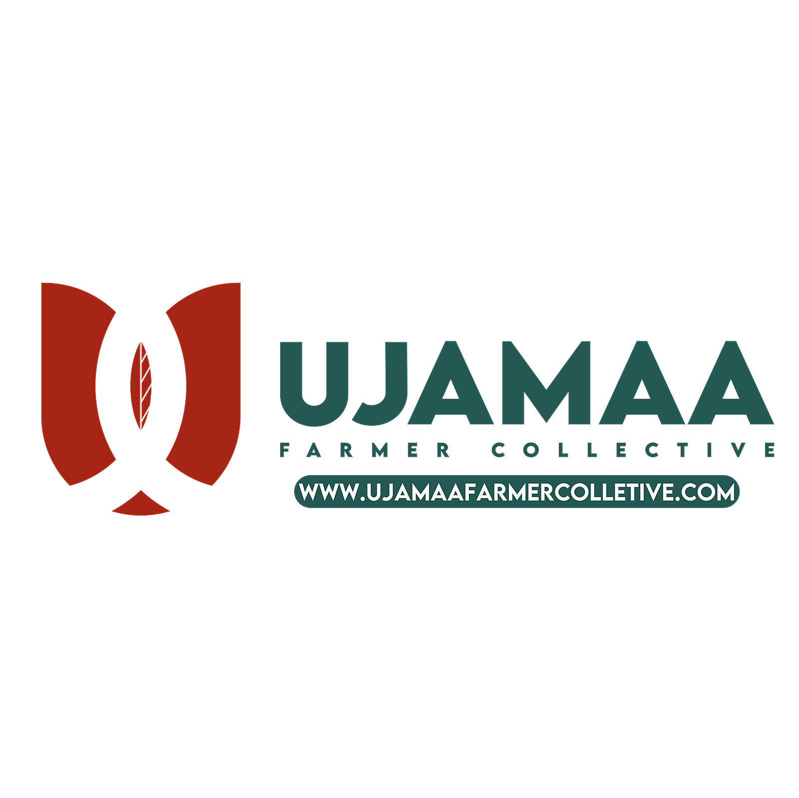 organization image