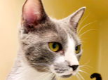 Fundraiser image