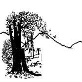 Tile Thumbnail