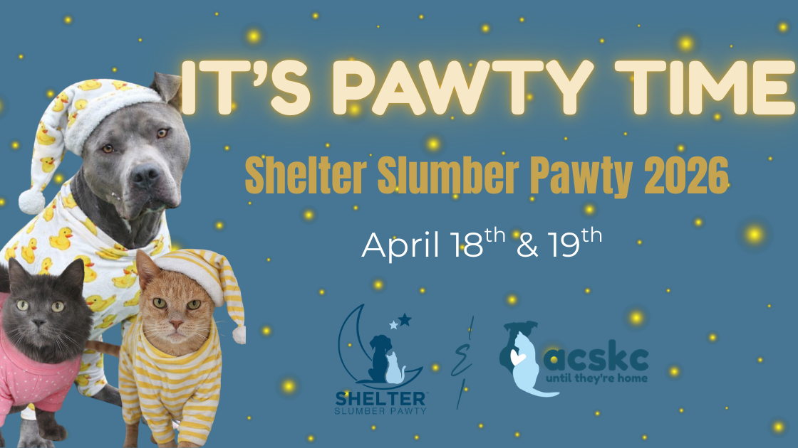 Tile background Image