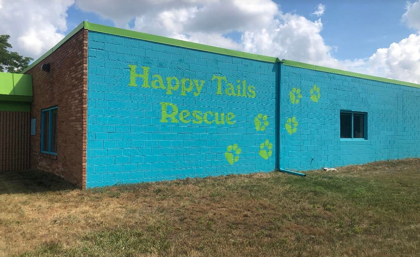 Happy tails happy homes store