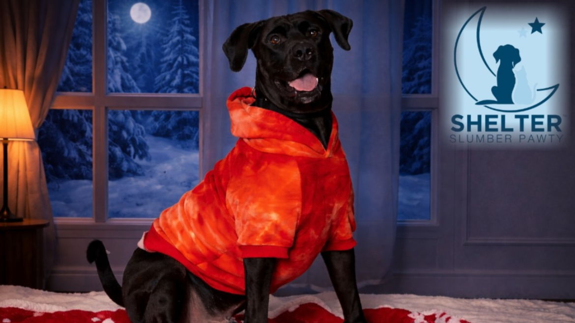 Fundraiser image