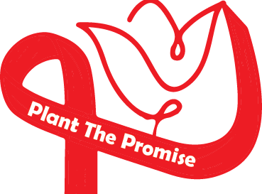 Fundraiser image