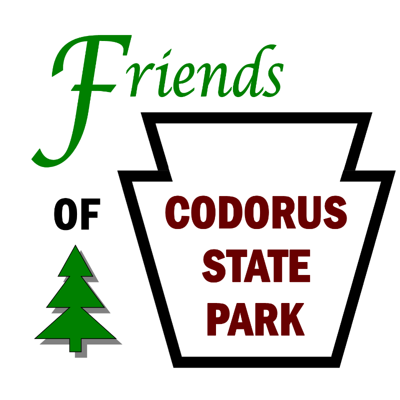 Friends of Codorus State Park | GLY 365