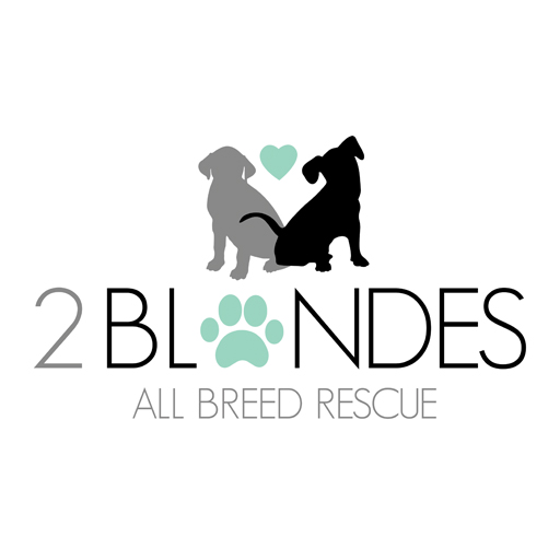 2 Blondes All Breed Rescue | Colorado Gives 365