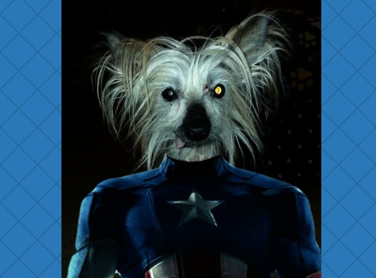 Fundraiser image