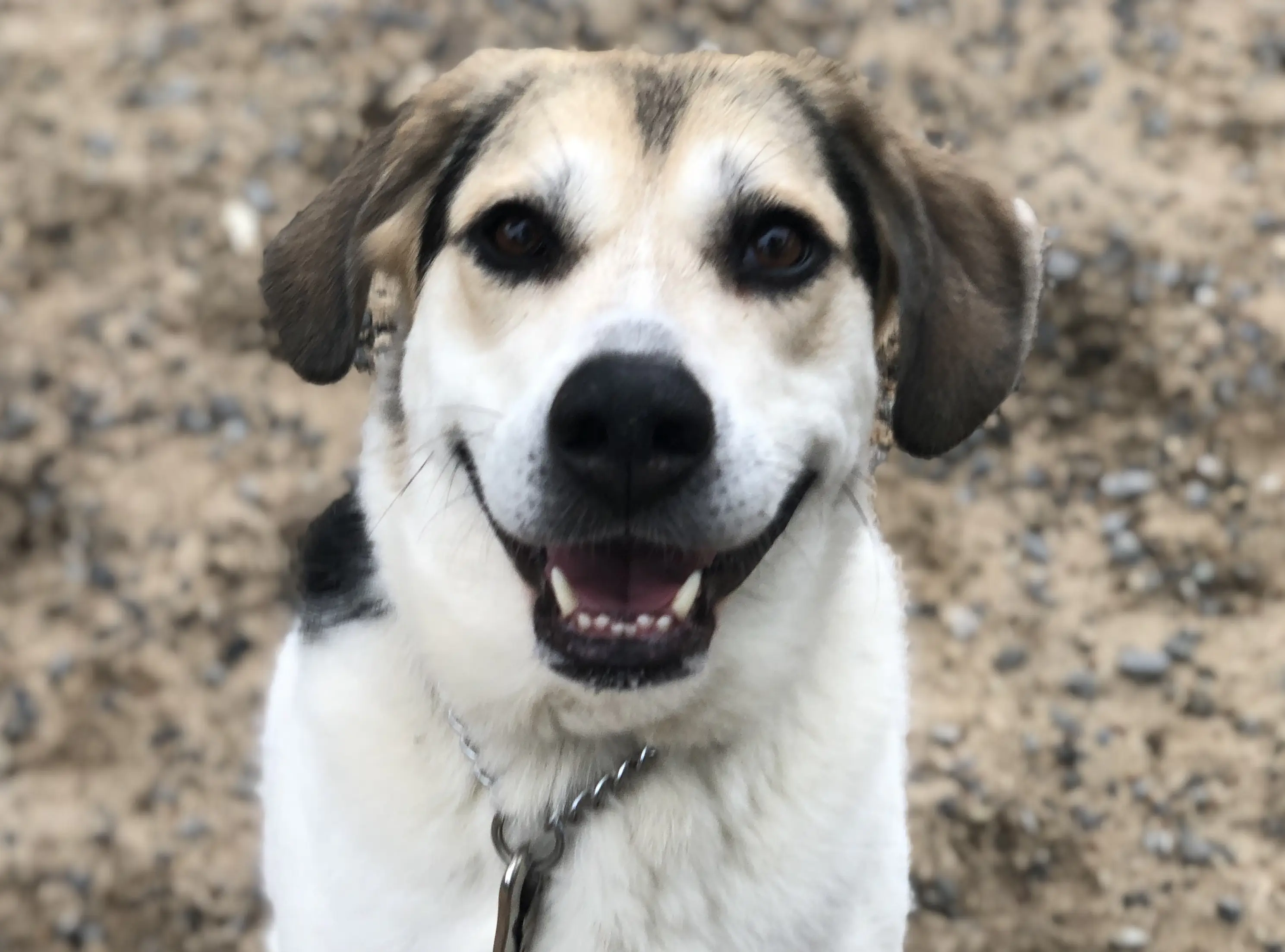 Tile Thumbnail