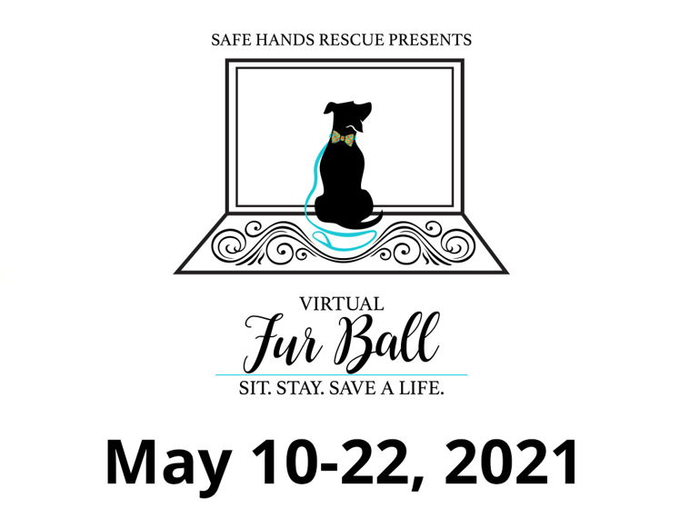 Fundraiser image